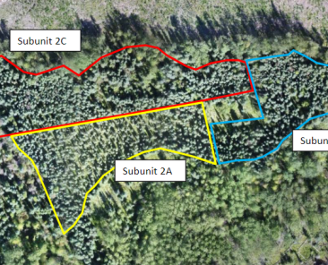 Mulching productivity in black sprunce fuel