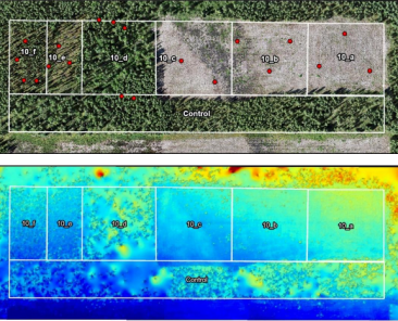 Brinding a knowledge gap in wildfire reserch