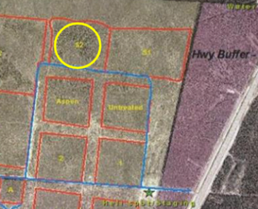 Black spruce fuel amendment treatment
