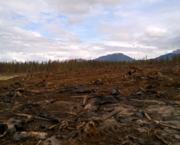 Case Study - Fire behaviour of RWF-015-13 (Nordegg, Alberta)
