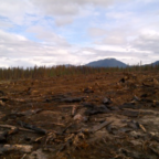 Case Study - Fire behaviour of RWF-015-13 (Nordegg, Alberta)