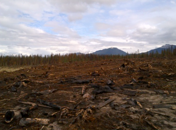 Case Study - Fire behaviour of RWF-015-13 (Nordegg, Alberta)