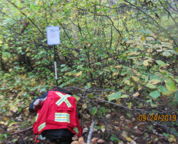 Forest fuel characterization at the Quesnel airport