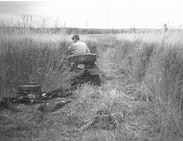 Mowing during fall 2006 near slave lake