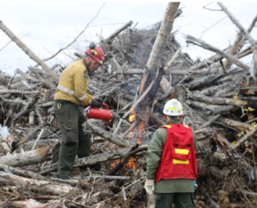 Windrow burning