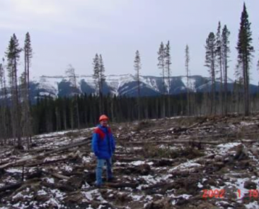 a case study of an excursion from top-piles