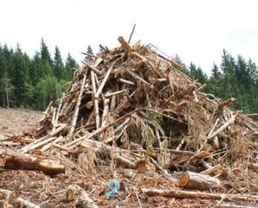 assessing moisture content of piled woody debris