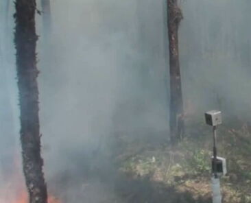 developing wildfire smoke training videos