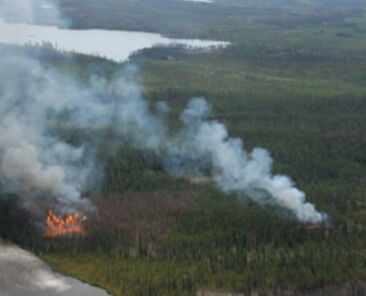 fire behaviour in simulated mpb