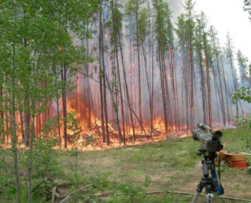 fire intensity in NWT