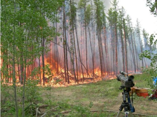 fire intensity in NWT