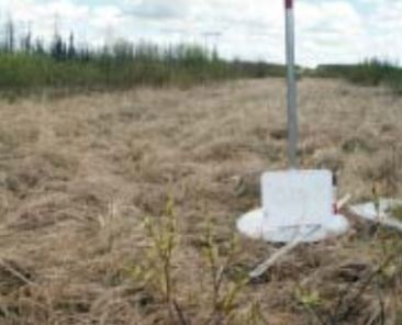 grass fuel loads on linear disturbances in Alberta