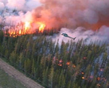 review of fire behaviour across a power transmission line
