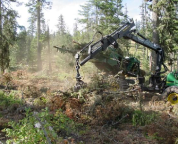 the boom set timberjack CF510 arm