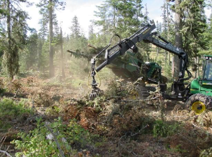the boom set timberjack CF510 arm